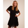 Angel Sleeve Velvet Burnout Dress